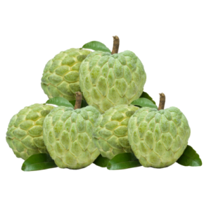 Custard Apple